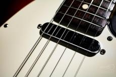 Fender American Standard Telecaster / 2007_4