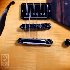 Sadowsky Semi Hollow (CMB)_10