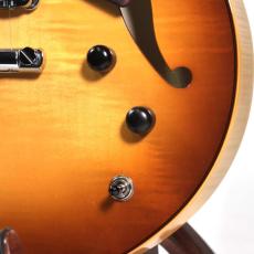 Sadowsky Semi Hollow (CMB)_11