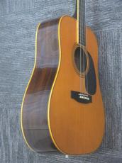 Aria Dreadnought D-80 by R.Matsuoka_5