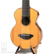 TODA Guitars WP-N