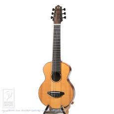 TODA Guitars WP-N_2