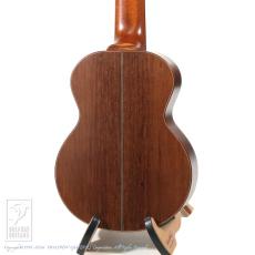 TODA Guitars WP-N_4
