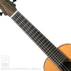 TODA Guitars WP-N_5