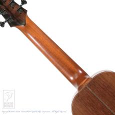 TODA Guitars WP-N_6