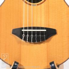 TODA Guitars WP-N_10