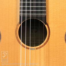 TODA Guitars WP-N_11