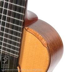 TODA Guitars WP-N_12