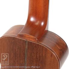 TODA Guitars WP-N_13