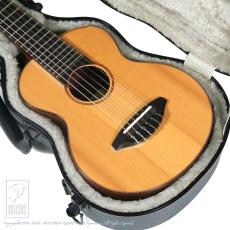 TODA Guitars WP-N_14