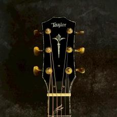 Taylor Limited PS18e Brazilian【2.29kg】_4