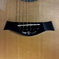 Taylor Limited PS18e Brazilian【2.29kg】_12