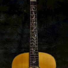 Taylor Limited PS18e Brazilian【2.29kg】_14