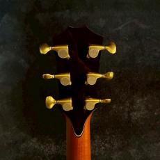 Taylor Cocobolo GA-LTD【2.41kg】_7