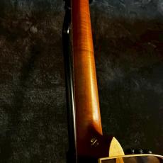 Taylor Cocobolo GA-LTD【2.41kg】_10