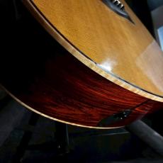 Taylor Cocobolo GA-LTD【2.41kg】_13