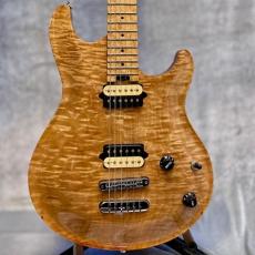 PEAVEY HP Special CT Custom -Natural / Birdseye Maple- 2008年製【良杢目!】