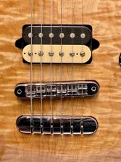 PEAVEY HP Special CT Custom -Natural / Birdseye Maple- 2008年製【良杢目!】_8