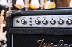 Two-Rock Studio Signature Combo -Silver Chassis & Skirt Knob-_6