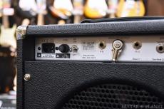 Two-Rock Studio Signature Combo -Silver Chassis & Skirt Knob-_8