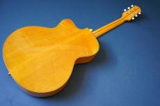 Stringphonic Lang-C w/DeArmond Rhythm Chief 1100_2