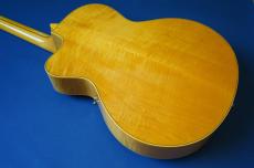 Stringphonic Lang-C w/DeArmond Rhythm Chief 1100_4