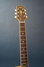Stringphonic Lang-C w/DeArmond Rhythm Chief 1100_6