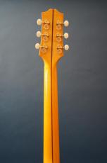 Stringphonic Lang-C w/DeArmond Rhythm Chief 1100_7