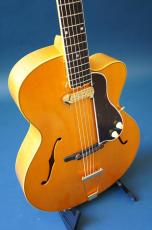 Stringphonic Lang-C w/DeArmond Rhythm Chief 1100_8