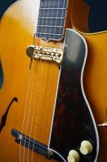Stringphonic Lang-C w/DeArmond Rhythm Chief 1100_10