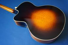 Stringphonic Lang-C w/DeArmond Rhythm Chief 1100_4