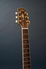 Stringphonic Lang-C w/DeArmond Rhythm Chief 1100_6