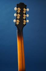 Stringphonic Lang-C w/DeArmond Rhythm Chief 1100_7