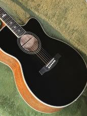 Paul Reed Smith [PRS] SE A20E -Black Top- #F27045【42回迄金利0%対象】【送料当社負担】_9