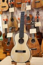 茶位 No.16 Concert Spruce/Maple_2