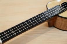 茶位 No.16 Concert Spruce/Maple_4
