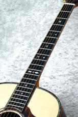 Terry's Terry Premium Terry PTJ-100 AM #80【48回無金利】_4