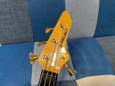 P-PROJECT PUM-1 N_3