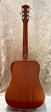 Gibson Hummingbird _3