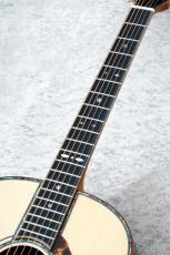 Terry's Terry Premium Terry PTJ-100 AM #81【48回無金利】_4