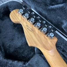 NO BRAND Component ST Type Fender Neck & Warmoth Body Burgundy Mist_9