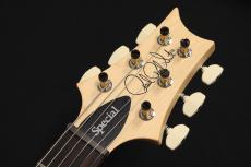 Paul Reed Smith [PRS] SWAMP ASH SPECIAL Rosewood White Doghair Smokeburst 2025_8