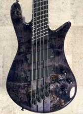 Spector 【クロサワ楽器限定品】NS Dimension MS5 -Translucent Black-【良杢!】【#W250012】【4.23kg】