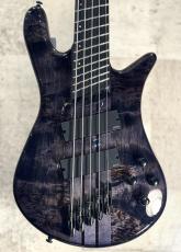 Spector 【クロサワ楽器限定品】NS Dimension MS5 -Translucent Black-【良杢!】【#W250012】【4.23kg】_2