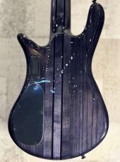 Spector 【クロサワ楽器限定品】NS Dimension MS5 -Translucent Black-【良杢!】【#W250012】【4.23kg】_7