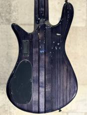 Spector 【クロサワ楽器限定品】NS Dimension MS5 -Translucent Black-【良杢!】【#W250012】【4.23kg】_8