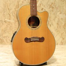 Gibson LC-1 Cascade 2005