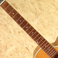 Gibson LC-1 Cascade 2005_6