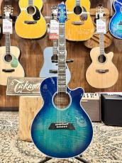 Takamine FPT181AC -SBB- #62050414【アーチトップボディ】_2