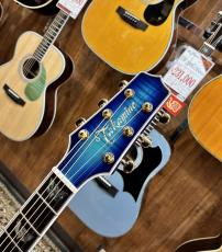 Takamine FPT181AC -SBB- #62050414【アーチトップボディ】_8